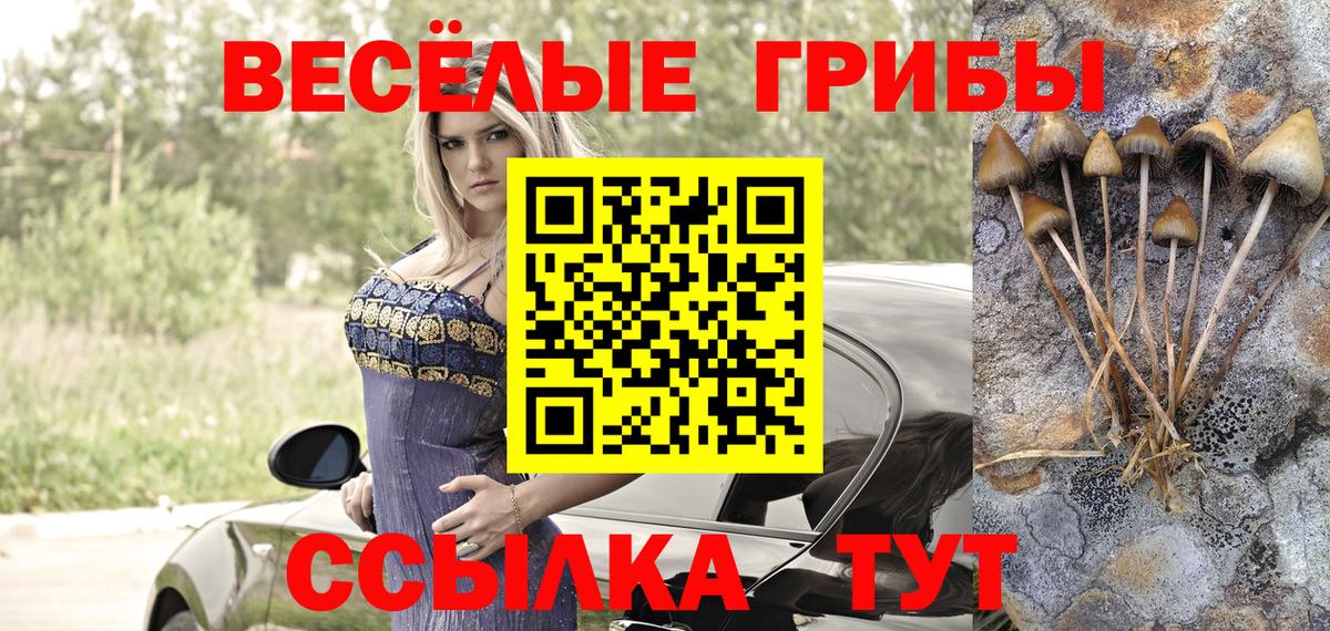 Джанкой  Псилоцибиновые грибы ЛСД  купить наркотик  Вход с VPN 
